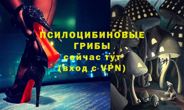 СК Богородицк