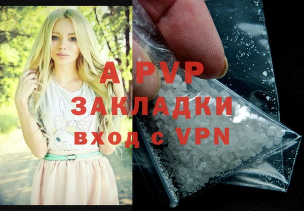 сатива Верея