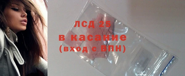гидра Богданович