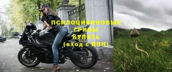 сатива Верея