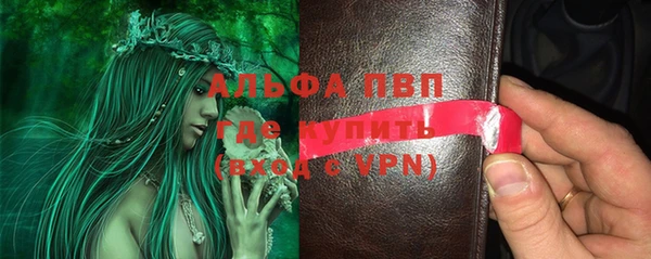 сатива Верея