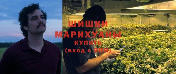 гидра Богданович