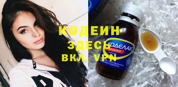 гидра Богданович