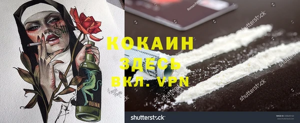 сатива Богородск