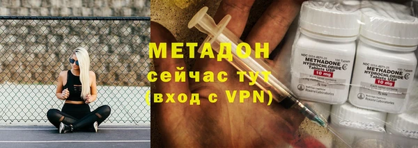сатива Верея