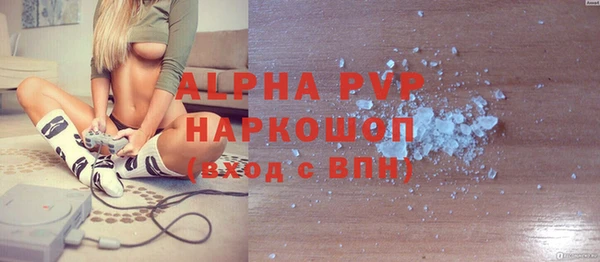 сатива Верея
