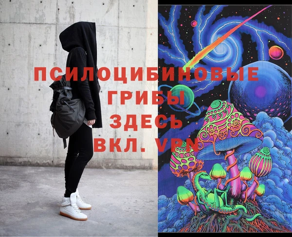 гидра Богданович