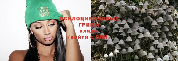 СК Богородицк