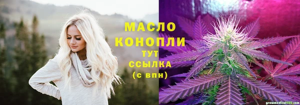 гидра Богданович