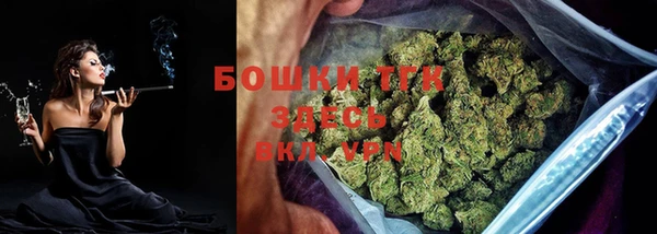 СК Богородицк