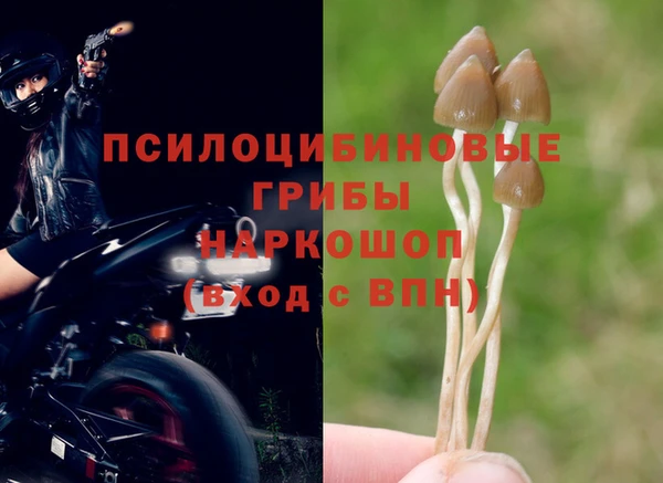сатива Богородск